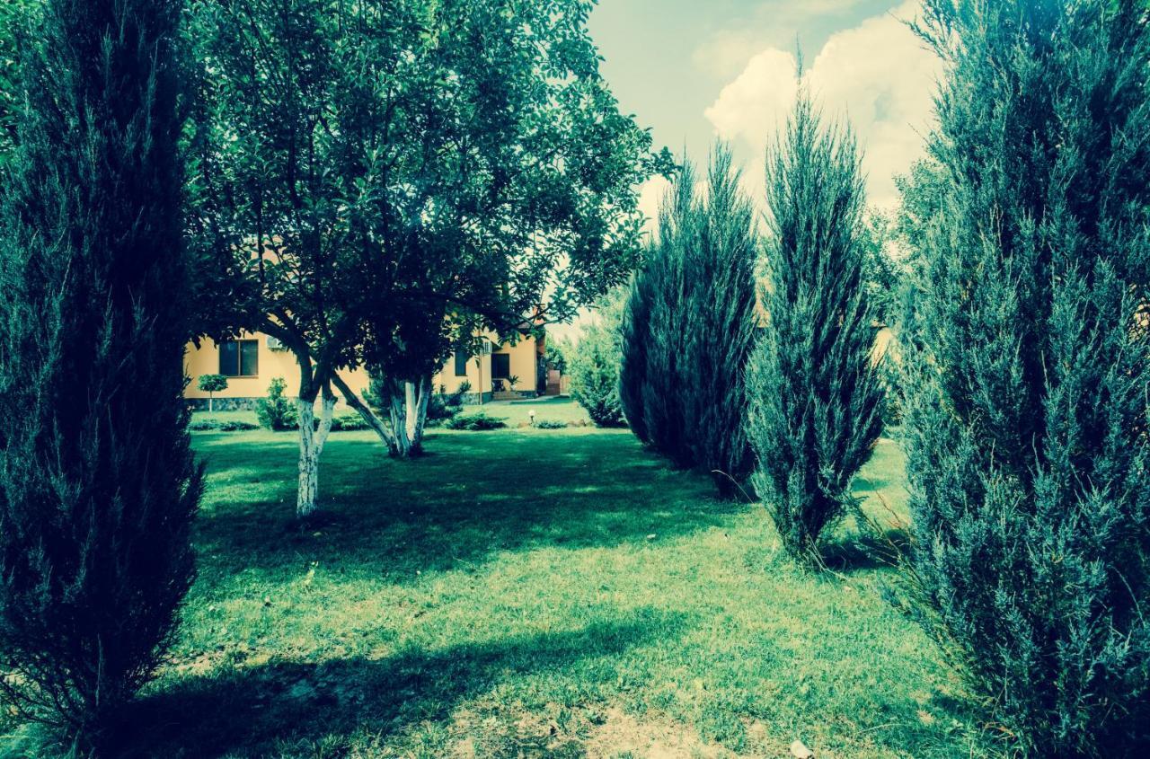 Sunrise Boutique Hotel Berehowo Zewnętrze zdjęcie